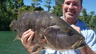 Black Bass amp Spottail Bass Adventure  Baia Sportfishing PNG [upl. by Tessy]