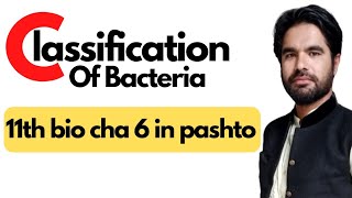 Classification of bacteria  Classes of proteobacteria  11 bio cha 6 in pashto [upl. by Farrah]