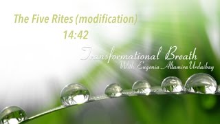 The 5 Rites Modifications [upl. by Ecneret]