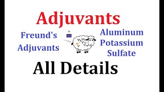 Adjuvants Animated explanation Alum Freunds Adjuvants [upl. by Baryram]