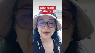 Shio ular hatihati terjadi benturan astrology selfimprovement [upl. by Poyssick]