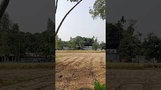 satisfying agriculture work farming nature [upl. by Alyk]