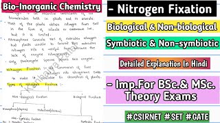 Nitrogen Fixation  Basic Concept  Types  Handwritten Notes  bscnotes bsc mscnotes [upl. by Nimajaneb]