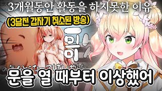 3개월 전에 방송을 취소하고 갑작스럽게 휴식에 들어갈 수 밖에 없었던 이유를 설명하는 네네치  홀로라이브 모모스즈 네네 [upl. by Eydie]