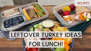 3 Simple Ways to Use Leftover Turkey for Lunch Dietitian Tips [upl. by Origra]