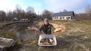 ВЫРАЩИВАЮ НЕ ТОЛЬКО ПОРОСЯТ и ОВЕЦ НО И РЫБУ МОЯ ЖИЗНЬ в ГЛУХОЙ ДЕРЕВНЕ на КРАЮ ЛЕСА №324 [upl. by Ablasor]