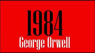 1984 di George Orwell  Parte 8  Audiolibro Italiano [upl. by Enalb]