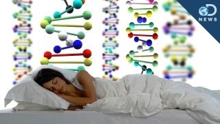 Sleep Loss Screws Your Genes [upl. by Ybeloc]