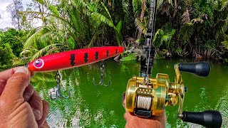 The Worlds STRONGEST Fish  Day 1 at Baia Lodge PNG [upl. by Joshi]