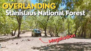 Exploring the Wild Side Overlanding in Stanislaus National Forest [upl. by Eisen]