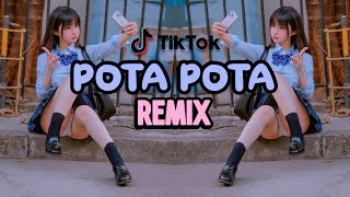 DJ POTA POTA  POTA SONG TIK TOK 🌴 COPINES REMIX 2023 [upl. by Eniowtna823]