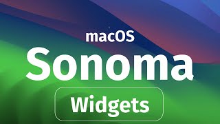 Add and Customize Widgets on macOS Sonoma [upl. by Pennebaker]