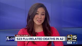 Over 500 flurelated deaths reported in Arizona so far [upl. by Bogusz927]