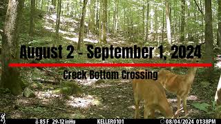 24 24 Trailcam Video 5 [upl. by Gardel435]