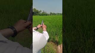 TT 33 firing shortvideo ak47firing airsoft art [upl. by Nileuqay607]