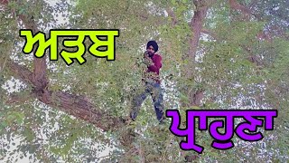 ਅੜਬ ਪ੍ਰਾਹੁਣਾ  ADAB PARAHUNA  Punjabi Short Movie  BEEBA BOYS [upl. by Oijres251]