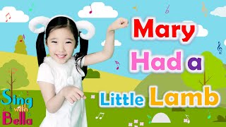 Mary Had A Little Lamb With Lyrics  Sing and Dance Along  Action Song by Sing with Bella [upl. by Alten436]