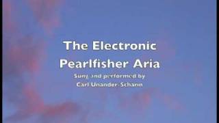 The Electronic Pearlfishers Aria  Carl UnanderScharin tenor Pärlfiskarna [upl. by Ruberta921]