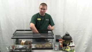 How to Set Up an Enclosure for a Russian Tortoise [upl. by Nylaf]