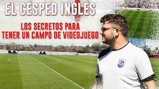 🌱 El SECRETO del CESPED PERFECTO en el ASCENSO INGLÉS [upl. by Berkshire810]