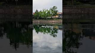 Welland Canal Paddle Boarding wellandcanal paddleboard shorts [upl. by Castora633]