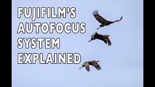 The Fujifilm XSeries Autofocus System Explained [upl. by Audres]