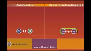 Heparin animation [upl. by Ardua204]