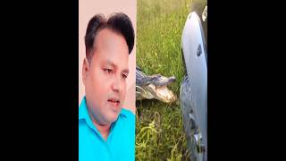 Crocodile attacks car 🚗😱 video crocodile shorts reaction [upl. by Sutherlan]