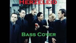 Herzeleid Bass Cover [upl. by Meil]