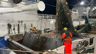 Atlantic Viking trawling the Barents Sea [upl. by Avron]