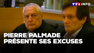 Pierre Palmade présente ses excuses｜TF1 INFO [upl. by Enaek]