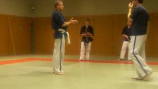 Application de Happoken godan et tonfa happoken série 1 en kenpo et goshinAVI [upl. by Eenattirb]