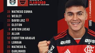 FLAMENGO ELIMINA O PEÑAROL NA LIBERTADORES 2024 [upl. by Abas]