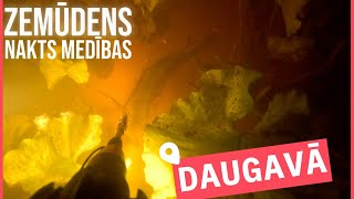 EP26  Daugavas asaris  Zemūdens medības naktī [upl. by Dira]