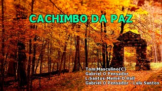 Videokê  Cachimbo Da Paz  Gabriel O Pensador part Lulu Santos  16177 [upl. by Asilanna]