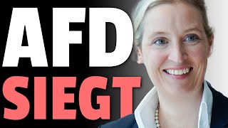 💥AfD SIEGT vor GERICHT gegen GRÜNE💥 [upl. by Eillas]