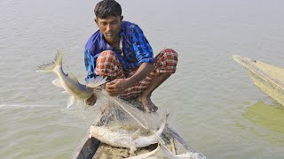 natural fishing in bangladesh  catfish catching [upl. by Stralka]