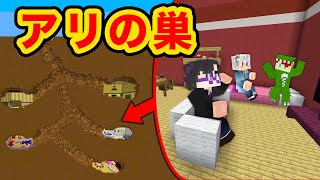 アリの巣みたいなおうち作り対決【マインクラフト】 [upl. by Belford]