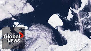 Worlds largest iceberg on the move from Antarctica [upl. by Anaes894]