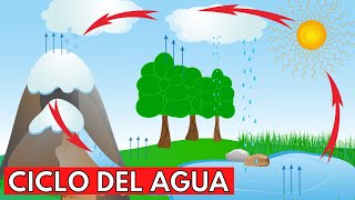 ¿Qué es el CICLO DEL AGUA y cuáles son sus ETAPAS⛰️💧☀️ [upl. by Eelyma]