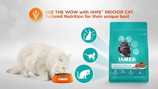 IAMS™ SEE THE WOW INDOOR CAT [upl. by Elyn]