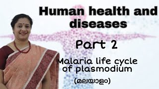 NEET HUMAN HEALTH AND DISEASES PART 2 MALARIA LIFE CYCLE OF PLASMODIUM MALAYALAM [upl. by Iolande]