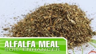 Alfalfa Meal  Mixing with your soil to enrich your garden [upl. by Drhacir]