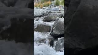 Wow Feel this water flow [upl. by Huggins]