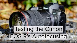 Testing the Canon EOS Rs Autofocusing [upl. by Yule]