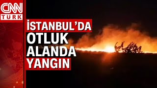 İstanbul’da buğday tarlasında yangın çıktı [upl. by Collier]