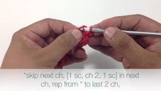 How to Crochet the Petite Shell Stitch [upl. by Llerreg496]