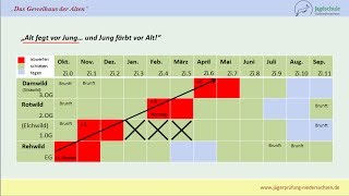 Jägerprüfung Niedersachsen Das Geweihaus der Alten [upl. by Eded220]