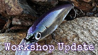 Workshop Update Aug 16th 2023  Herring Rats Spottail Shiner  Others [upl. by Patman]