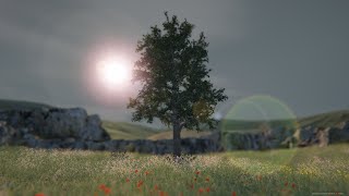 ただ木を眺めるゲームがすごくいい【 TREE SIMULATOR 2020 】 [upl. by Oak]